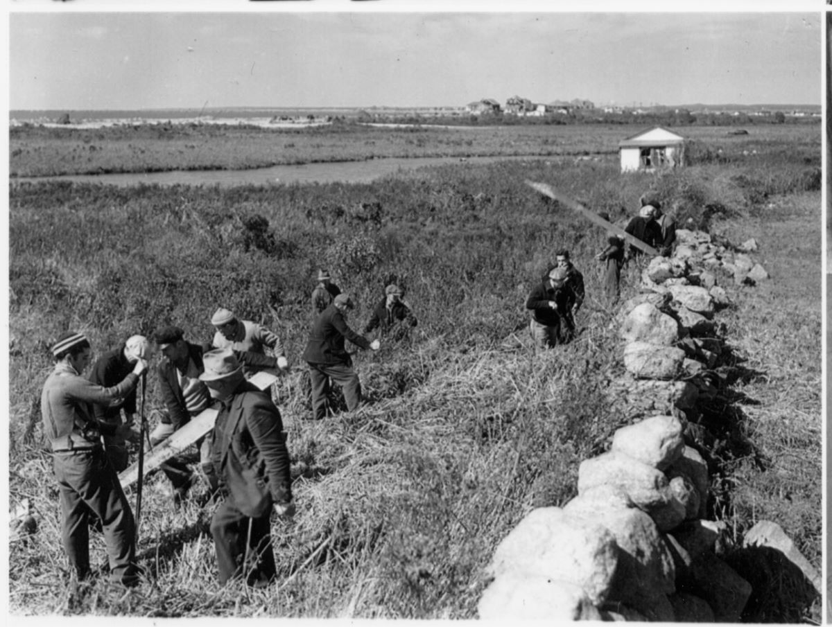 Stabilization Post Hurricane of 1938